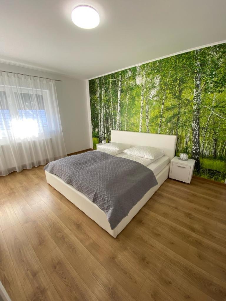 Apartament Nala Mediaş Εξωτερικό φωτογραφία